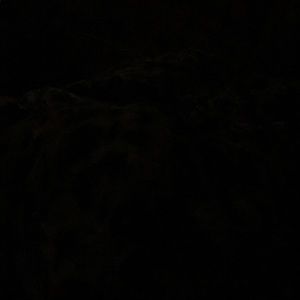 Meet your Posher, Floyd